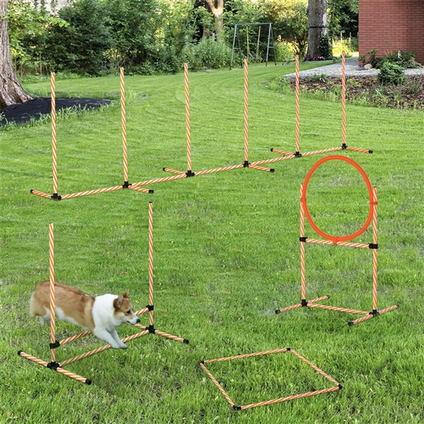 Pawhut Intermediate Dog Park Agility Training Kit - 4-Piece