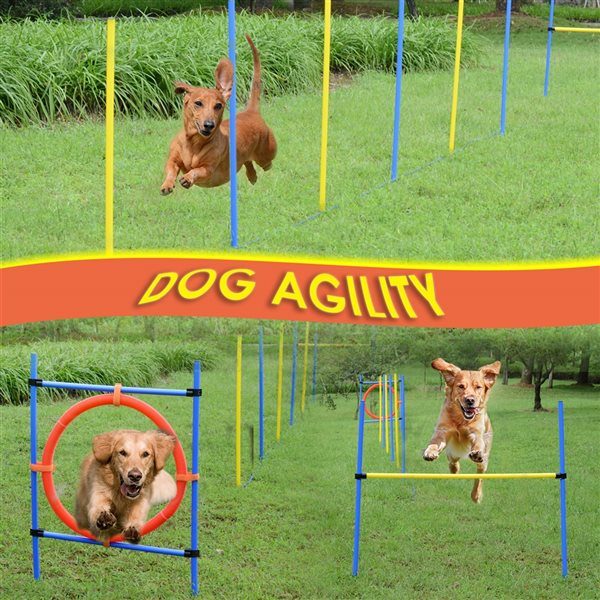 Pawhut best sale agility equipment