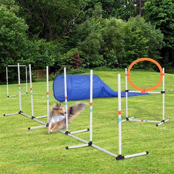 Pawhut Intermediate Dog Park Agility Course Kit - 5-Piece