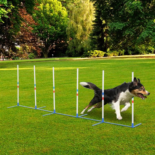 Pawhut Intermediate Outdoor Dog Park Agility Course Kit