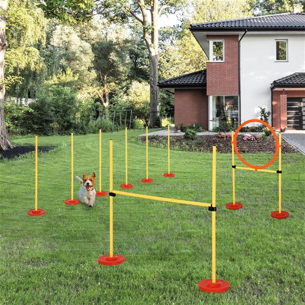 Pawhut Intermediate Dog Park Agility Course Kit - 3-Piece