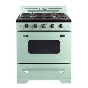 Unique Classic Retro Summer Mint Green 30-in 4 Burners 3.9-cu ft Manual Cleaning Convection Oven Freestanding Gas Range