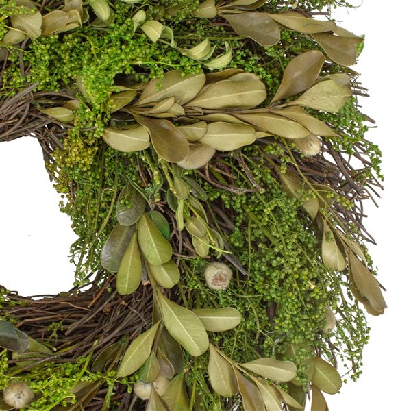 Northlight 10-in Green Artificial Foliage and Willow Bud Wreath