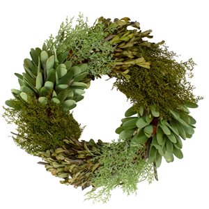 Northlight 14-in Green Artificial Cedar/Succulent/Day Grass Wreath