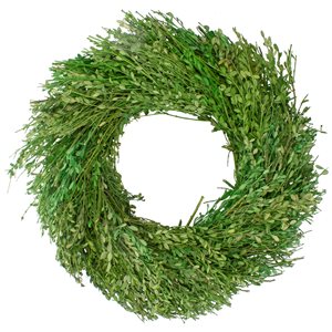 Northlight 20-in Green Artificial Foliage Wreath
