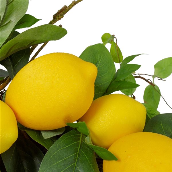 Northlight 20-in Yellow/Green Artificial Lemon Wreath