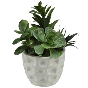 Northlight 9.5-in Green Potted Artificial Succulent Plant