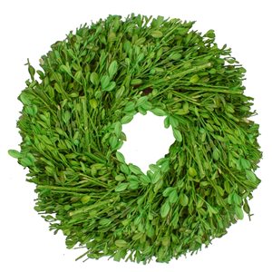 Northlight 10-in Green Artificial Foliage Wreath