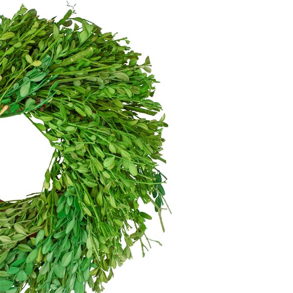Northlight 11-in Green Artificial Foliage Wreath