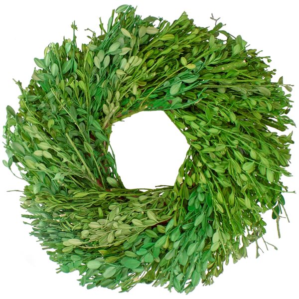 Northlight 11-in Green Artificial Foliage Wreath