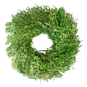 Northlight 15-in Green Artificial Foliage Wreath