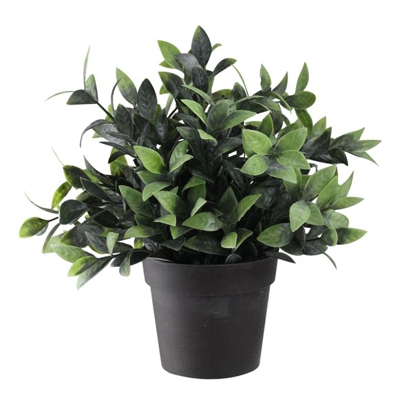 Northlight 9.5-in Green Potted Artificial Eucalyptus Plant 32734187 | RONA