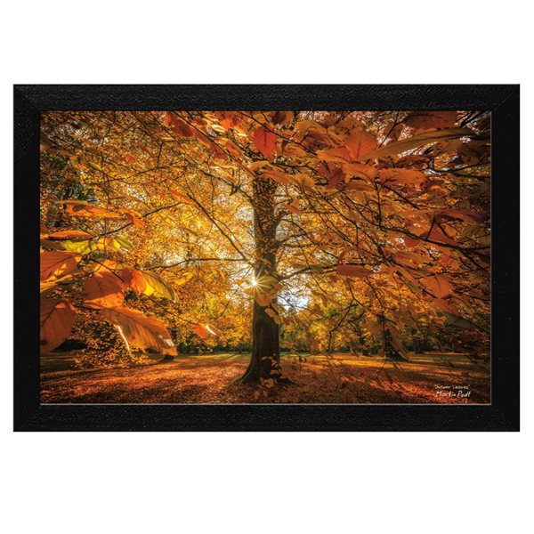 Trendy Decor 4 U 18-in x 12-in Autumn Leaves Printed Wall Art with ...