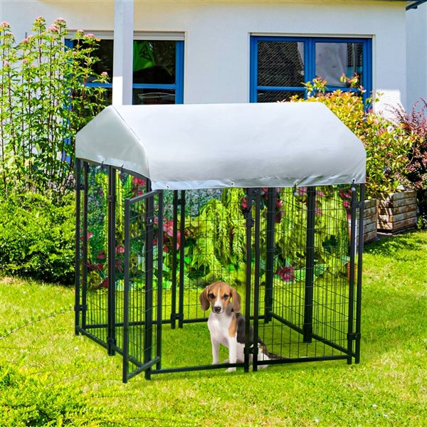 Dog store playpen outdoors