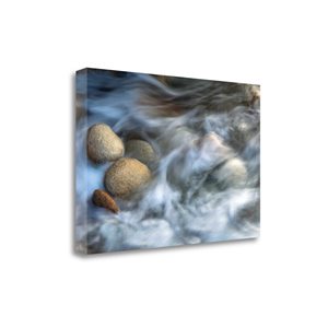 Tangletown Fine Art Stones and Waves by Xavier Ortega 32-in x 47-in Canvas Print