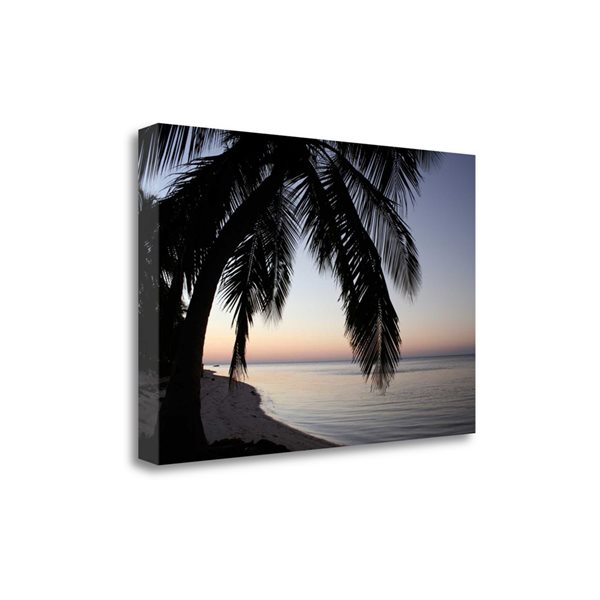 Tangletown Fine Art Palm Tree Sunset Frameless 21-in H x 32-in W ...