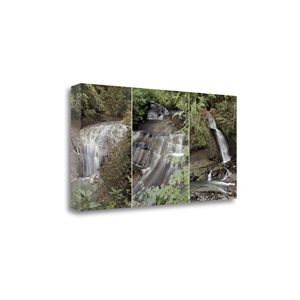 Tangletown Fine Art Waterfall Panel Frameless 24-in H x 47-in W Photography Canvas Print