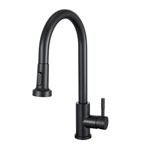 Transform Vienna Black 1-Handle Deck Mount Pull-Down Handle/Lever Kitchen Faucet (Deck Plate Included)