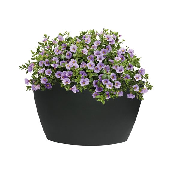 Algreen Hampton 24-in W x 20-in H Black Plastic Planter