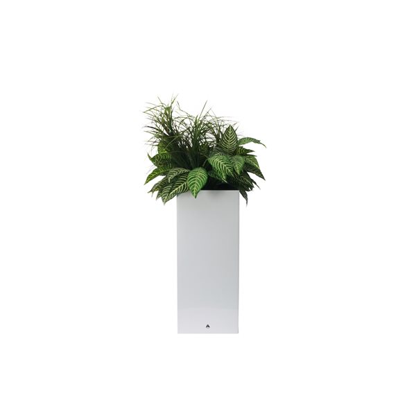Algreen Modena 10-in W x 26-in H Glossy White Plastic Self Watering Planter