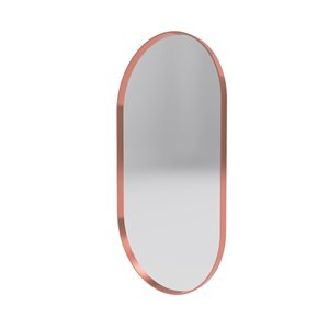 Reln 20-in Rose Gold Oval Bathroom Mirror