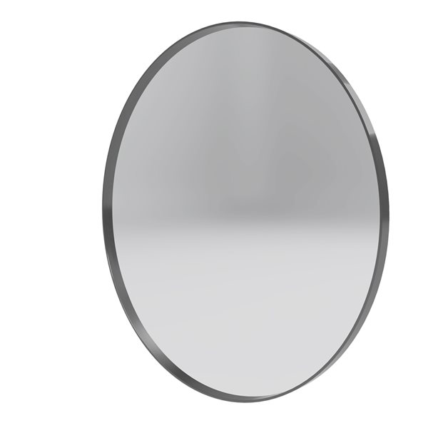 Reln 32-in Gunmetal Grey Round Bathroom Mirror