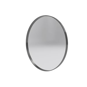 Reln 24-in Gunmetal Grey Round Bathroom Mirror