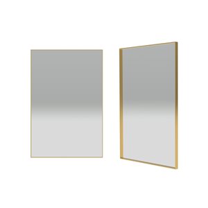 Reln 24-in Brushed Gold Rectangular Bathroom Mirror