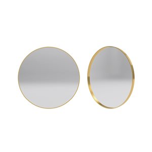 Reln 24-in Brushed Gold Round Bathroom Mirror