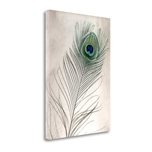 Tangletown Fine Art Frameless 29-in H x 21-in W "Feathers - 11" by Alan Blaustein, Giclee Print on Canvas