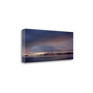 Tangletown Fine Art Frameless 13-in x 29-in "Sf Skyline - 101" Canvas Print