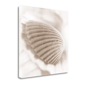 Impression sur toile sans cadre "Atlantis 3" par Alan Blaustein 29 po x 29 po de Tangletown Fine Art
