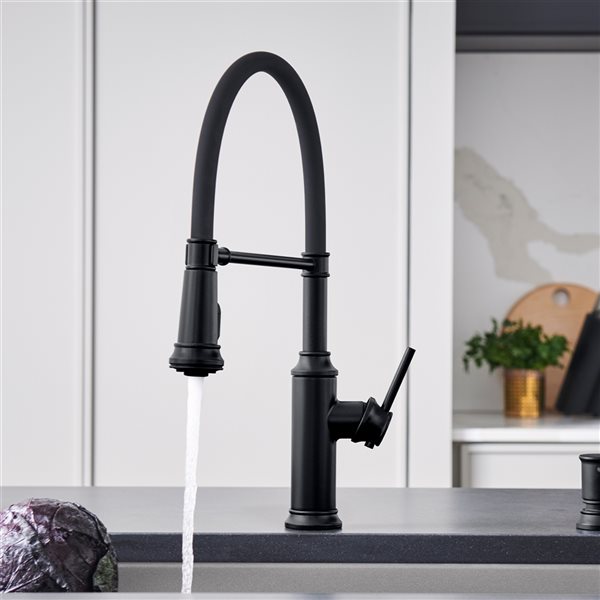 BLANCO Empressa Matte Black 1-Handle Deck Mount Pull-Down Residential Kitchen Faucet