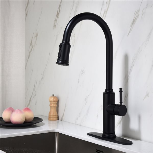 Clihome 19.68-in Black Kitchen Faucet with Pull Out Sprayer