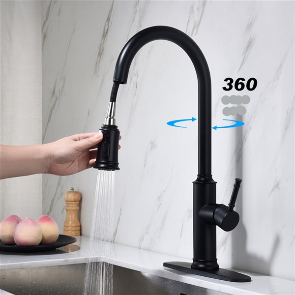 Clihome 19.68-in Black Kitchen Faucet with Pull Out Sprayer