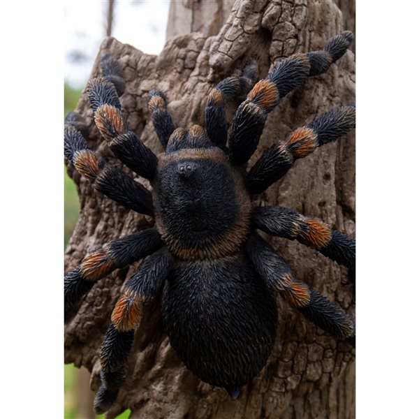 Hi-Line Gift Ltd. Tarantula 3.54-in x 6.5-in Garden Statue