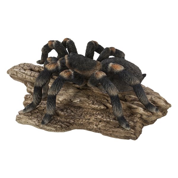 Hi-Line Gift Ltd. Tarantula 3.54-in x 6.5-in Garden Statue