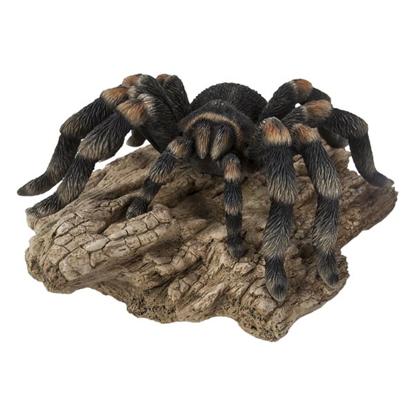 Hi-Line Gift Ltd. Tarantula 3.54-in x 6.5-in Garden Statue