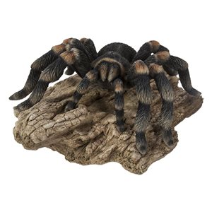 Hi-Line Gift Ltd. Tarantula 3.54-in x 6.5-in Garden Statue