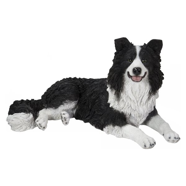 Border store collie presents