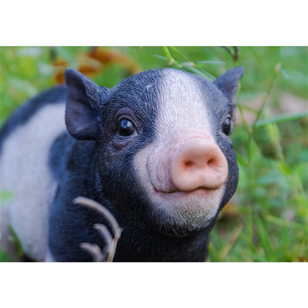 Hi-Line Gift Ltd. Black and White baby Pig Standing 5.71-in x 2.95-in Garden Statue