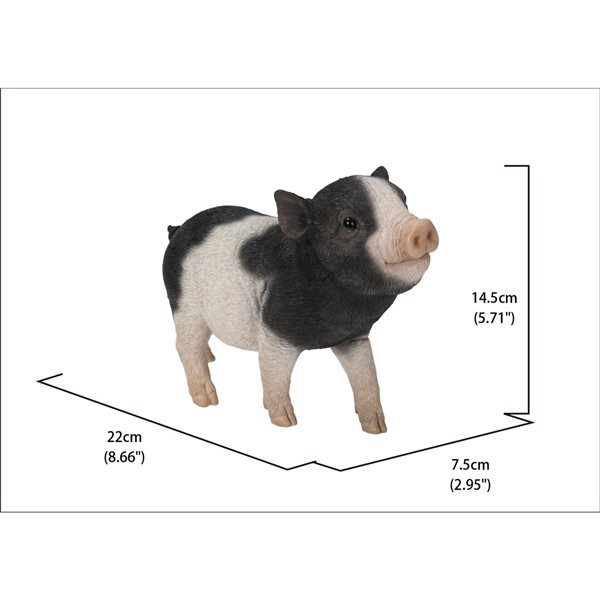 Hi-Line Gift Ltd. Black and White baby Pig Standing 5.71-in x 2.95-in Garden Statue