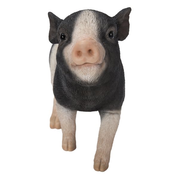 Hi-Line Gift Ltd. Black and White baby Pig Standing 5.71-in x 2.95-in Garden Statue