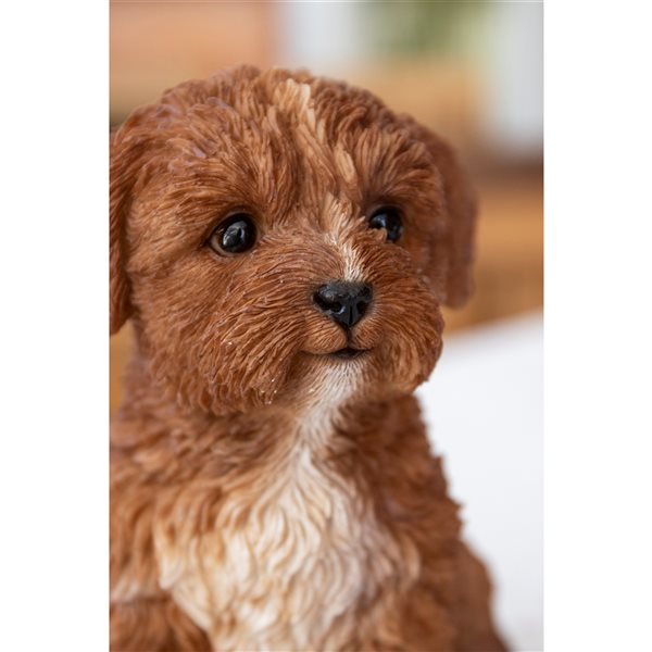 Cavapoo gifts hot sale