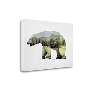 Tangletown Fine Art Arctic Polar Bear Frameless 20-in H x 31-in W Animals Canvas Print