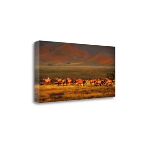Tangletown Fine Art Montana Dreaming Frameless 15-in H x 30-in W Animals Canvas Print