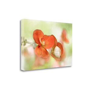 Tangletown Fine Art Summer Glow Frameless 15-in H x 22-in W Floral Canvas Print