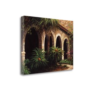 Impression sur toile sans cadre de 21 po x 27 po "Sago Arches" par Tangletown Fine Art