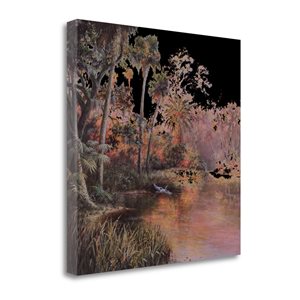Tangletown Fine Art Frameless 35-in x 35-in "Myakka Sunset" Canvas Print