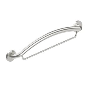 Healthcraft Products Plus Series 13.75-in Brushed Stainless Steel Wall Mount Grab Bar with Towel Bar - ADA Compliant